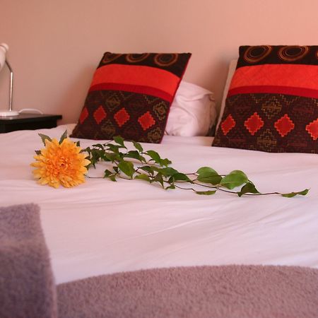 סווקופמונד Dunedin Star Guesthouse מראה חיצוני תמונה