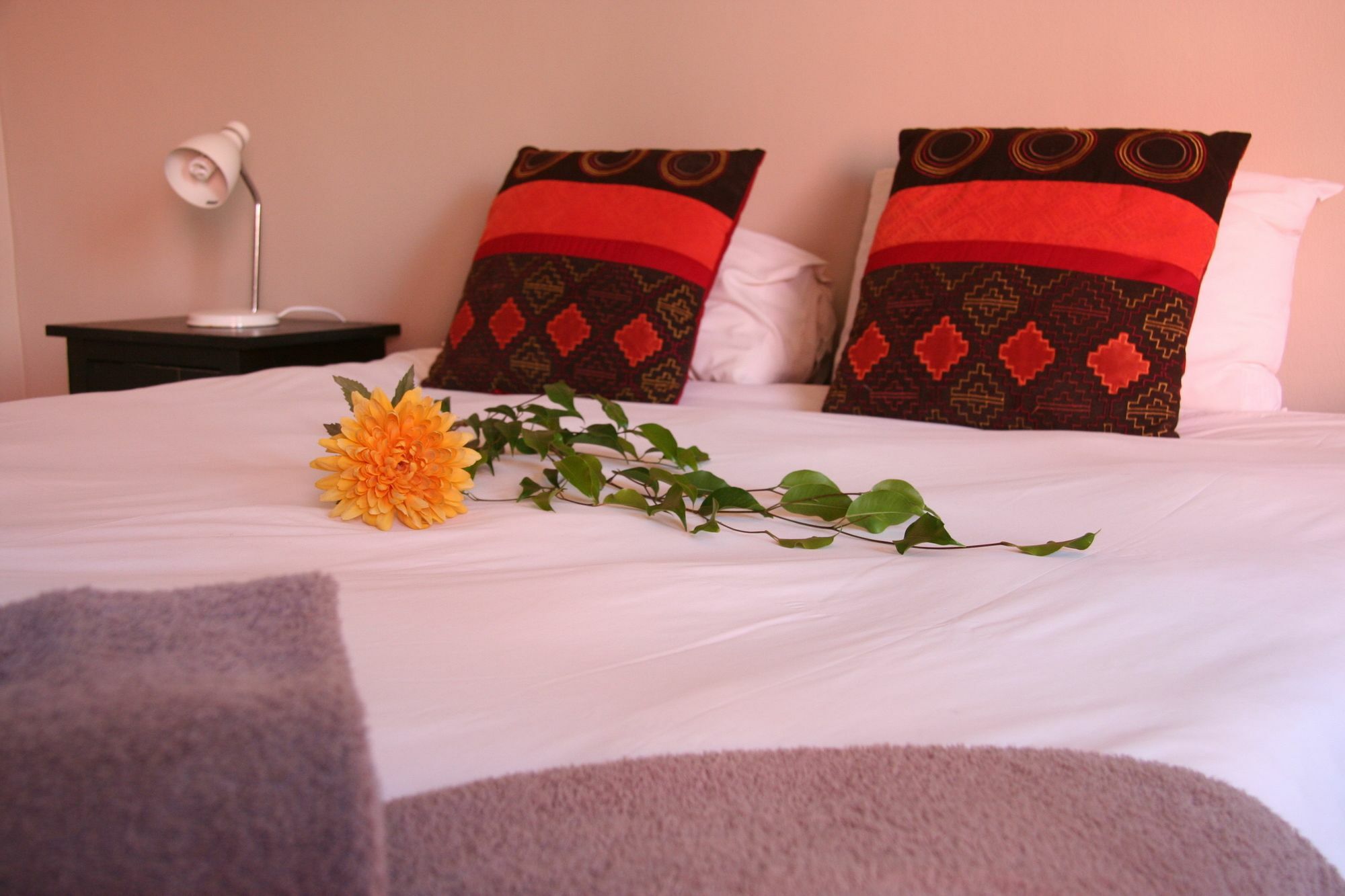 סווקופמונד Dunedin Star Guesthouse מראה חיצוני תמונה
