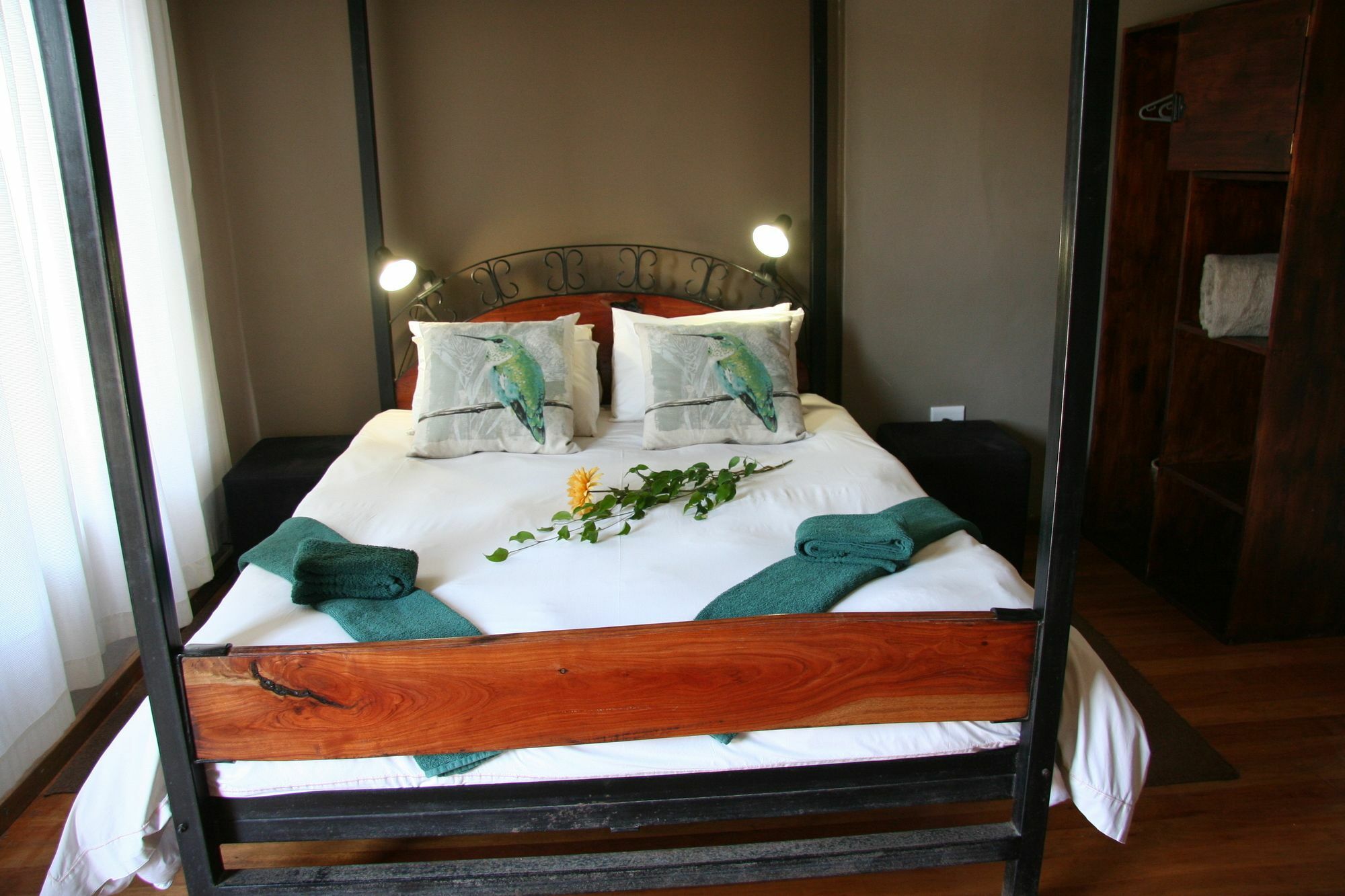 סווקופמונד Dunedin Star Guesthouse מראה חיצוני תמונה